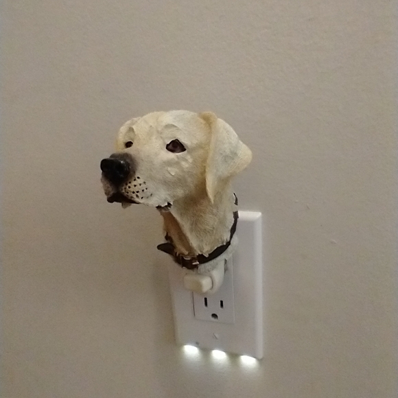 Unique Night Lights - Picture 13 of 14